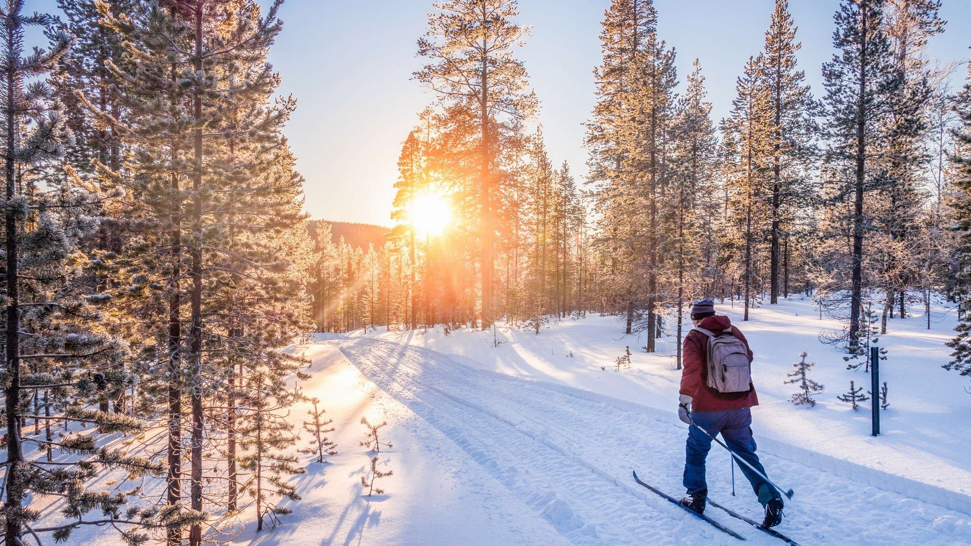 Hotel Sonnenhof Skifahrer im Schnee bei Sonnenaufgang in einem verschneiten Wald