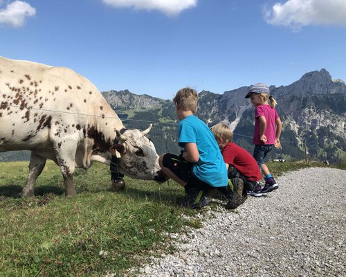 Hotel Sonnenhof Drei Kinder beobachten eine Kuh auf einer Bergwiese vor Alpenkulisse