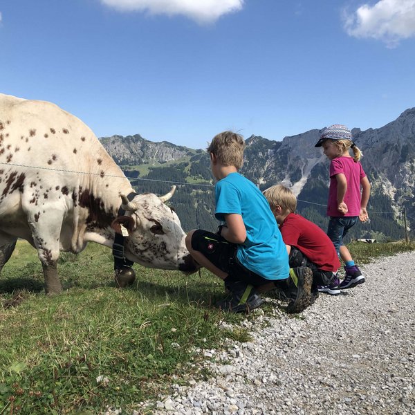 Hotel Sonnenhof Drei Kinder beobachten eine Kuh auf einer Bergwiese vor Alpenkulisse