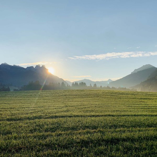Hotel Sonnenhof Sonnenaufgang über grünem Feld und Bergen im Hintergrund