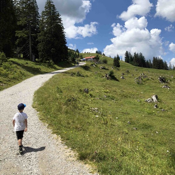 Hotel Sonnenhof Kind wandert auf einem Weg durch eine grüne Berglandschaft bei sonnigem Wetter