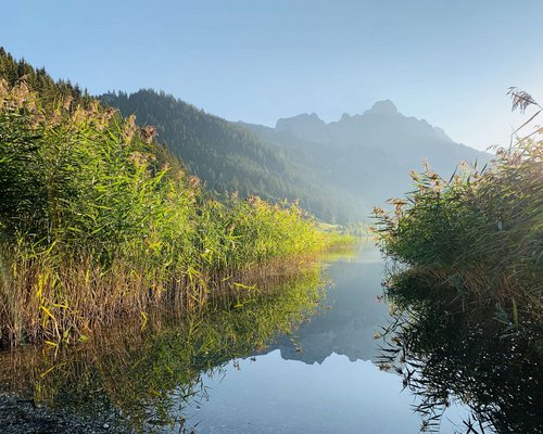 Hotel Sonnenhof Spiegelung von Bergen und grünen Pflanzen in klarem Bergsee bei Sonnenlicht
