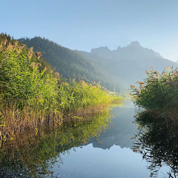 Hotel Sonnenhof Spiegelung von Bergen und grünen Pflanzen in klarem Bergsee bei Sonnenlicht