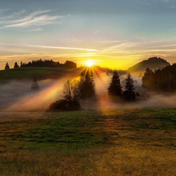 Hotel Sonnenhof Sonnenaufgang über nebligen Hügeln mit Bäumen und klar blauem Himmel.