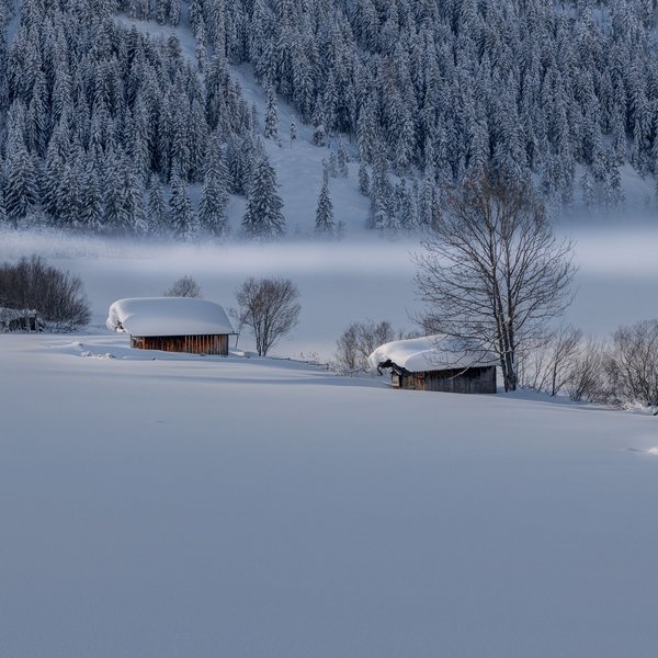 Hotel Sonnenhof Verschneite Holzhütten vor einem verschneiten Wald im Winter