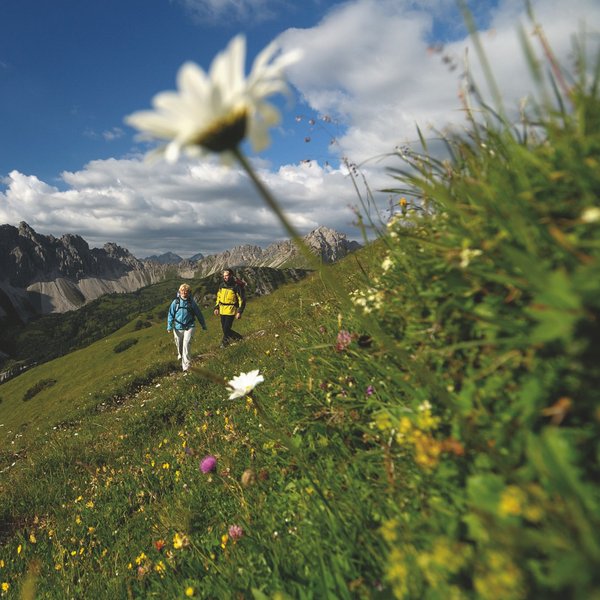Hotel Sonnenhof Wanderer auf blumenreicher Almwiese mit Bergpanorama und blauem Himmel