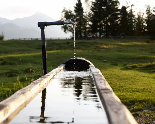 Hotel Sonnenhof Wasser tropft aus einem Metallhahn in einen Holzwassergraben auf der Wiese