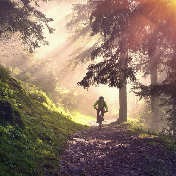Hotel Sonnenhof Radfahrer auf Waldweg im Sonnenlicht