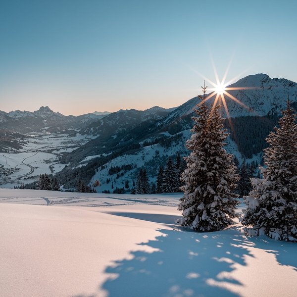 Hotel Sonnenhof Sonnenaufgang über schneebedeckten Tannen und Bergen im Winter