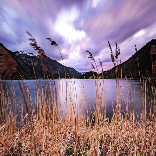 Hotel Sonnenhof See mit Schilf vor Bergen und bewölktem dramatischem Himmel bei Sonnenuntergang